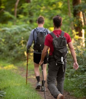 Image gallery marquee